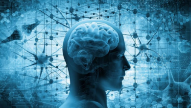 Cambridge Cognition et Actigraph s'associent pour révolutionner les essais cliniques sur le système nerveux central