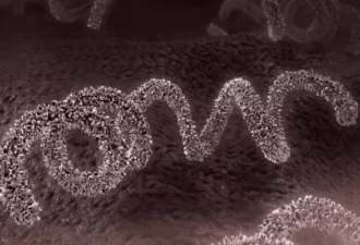 Infections sexuellement transmissibles en Europe : une vague inquiétante déferle