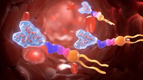 Une image microscopique d'une cellule sanguine.