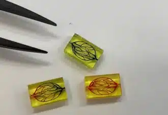La micro impression 3D révolutionne le secteur médical : vers des traitements sur-mesure et des organes fonctionnels